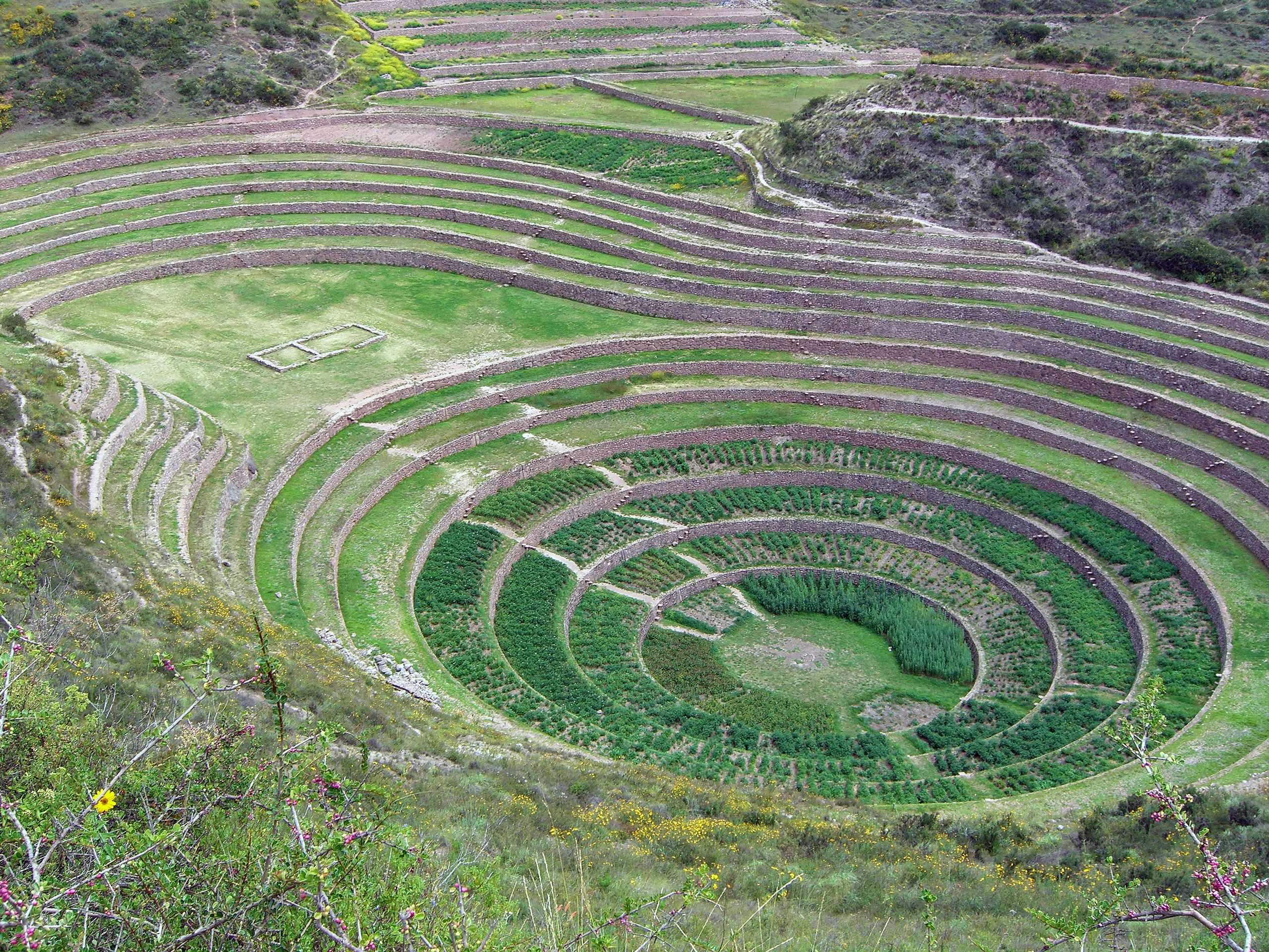 Andenes de cultivo en el Moray, cerca de Cusco, Perú.