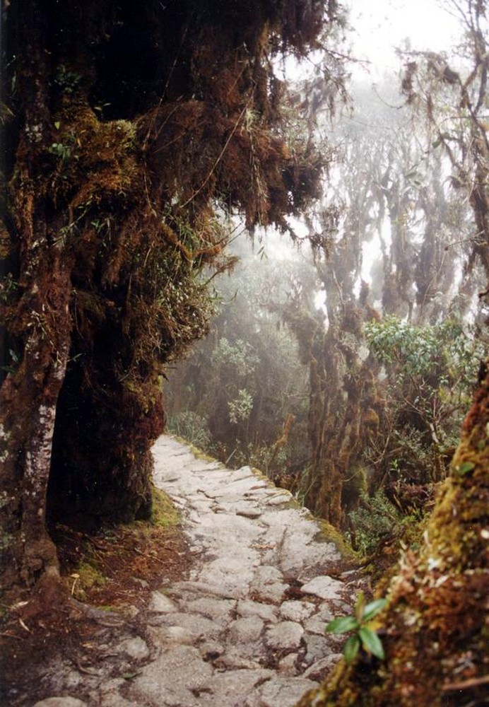 Sector del camino incaico cerca de Machu Picchu. Este camino fue realizado mediante el trabajo colectivo bajo control del Estado inca.
