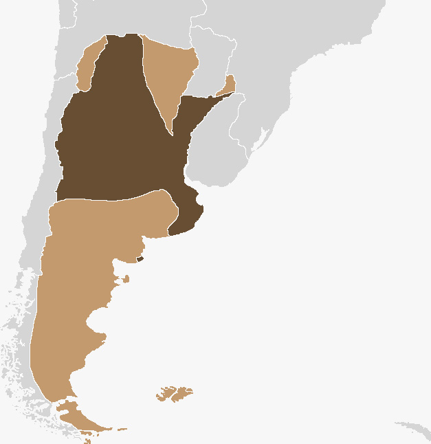 Mapa de la Confederación Argentina en 1833. En marrón claro se muestran los territorios bajo dominio de los pueblos originarios.
