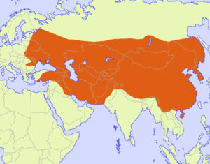 Mapa de ubicación Imperio Mongol