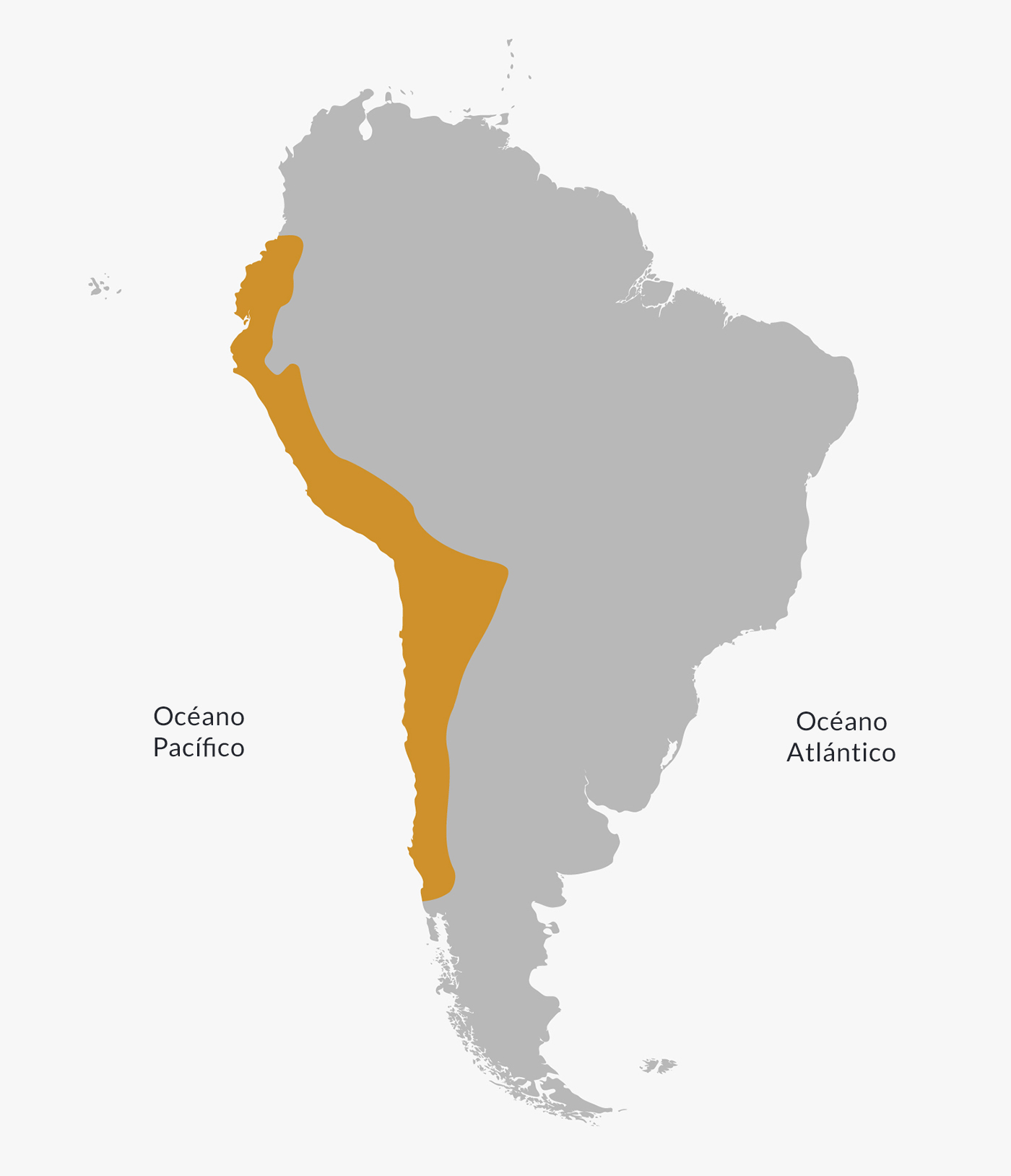 Extensión del Imperio inca a la llegada de los españoles.