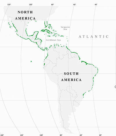 En verde, ubicación de los manglares en América.
