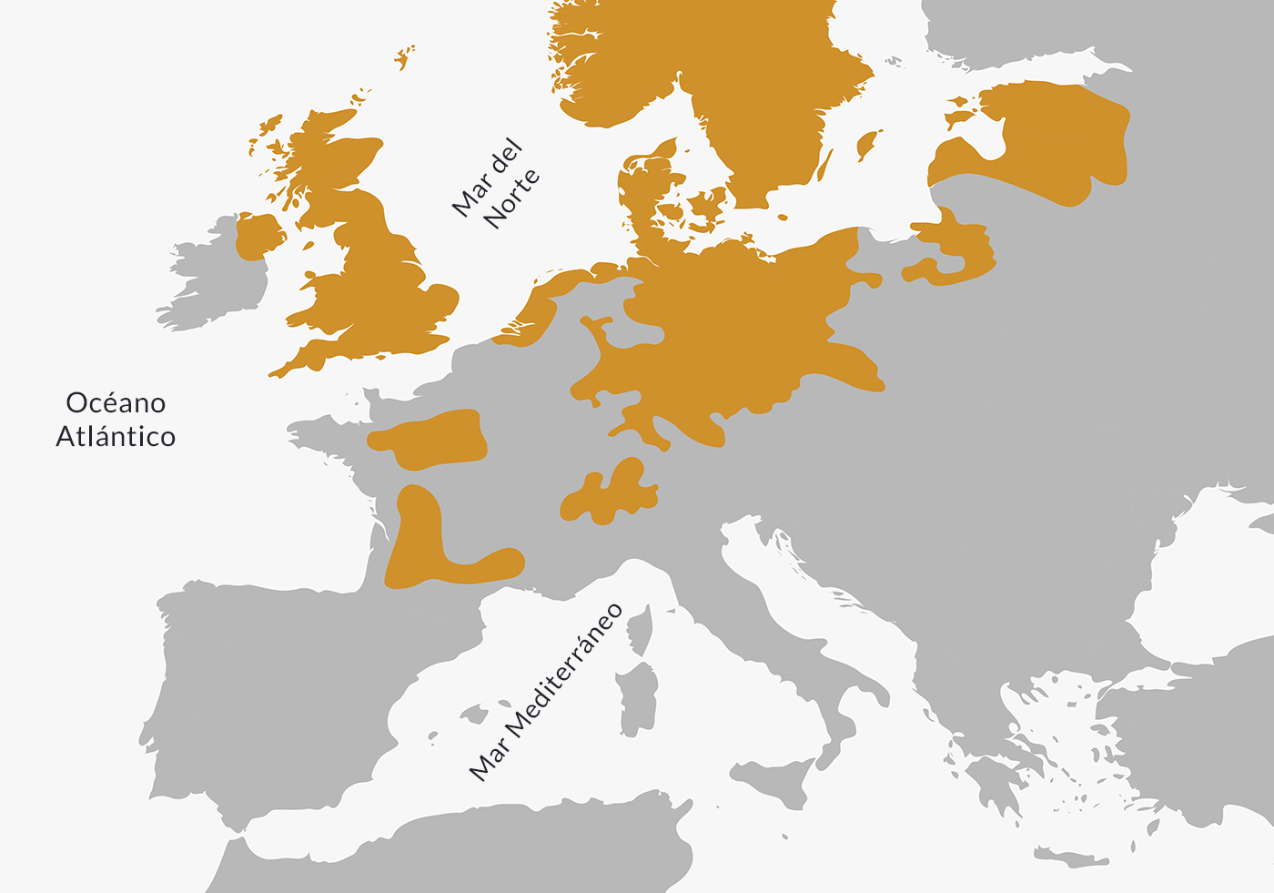 Extensión del protestantismo en Europa hacia fines del siglo XVI.