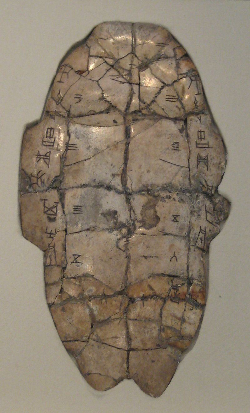 Caparazón de tortuga con inscripciones adivinatorias.