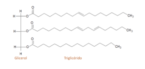 Figura 1. Estructura química de los triglicéridos (grasas y aceites).
