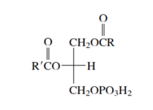Estructura del ácido fosfatídico